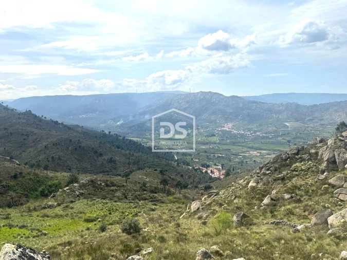 Quinta T0 para Venda em Alvendre Foto 28