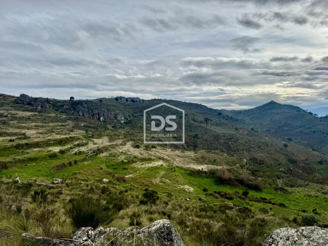 Quinta T0 para Venda em Alvendre Foto 5