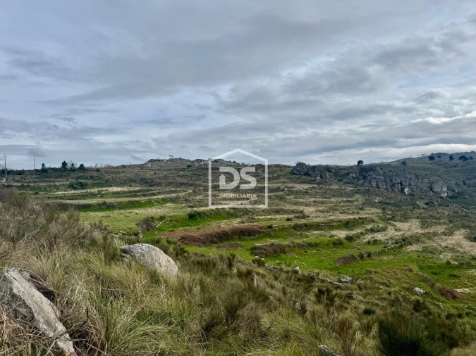 Quinta T0 para Venda em Alvendre Foto 2