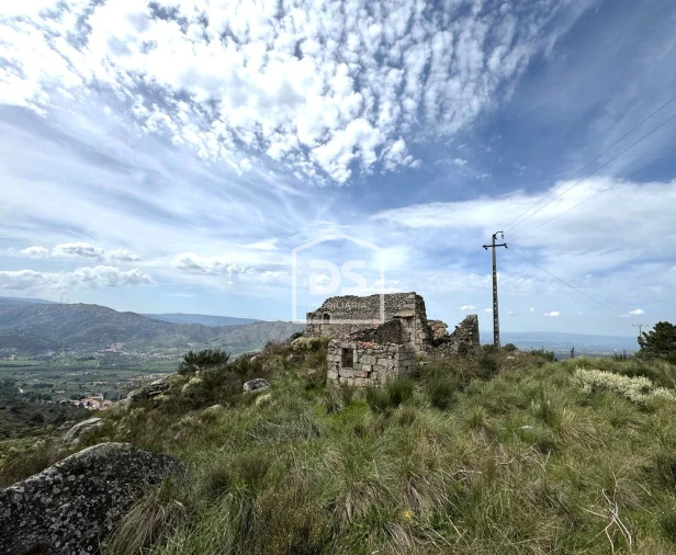 Quinta T0 para Venda em Alvendre Foto 25