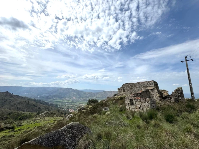 Quinta T0 para Venda em Alvendre Foto 7