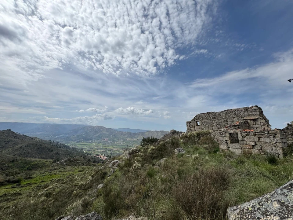 Quinta T0 para Venda em Alvendre Foto 4