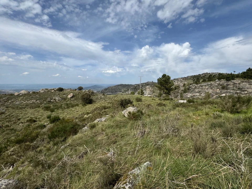 Quinta T0 para Venda em Alvendre Foto 14