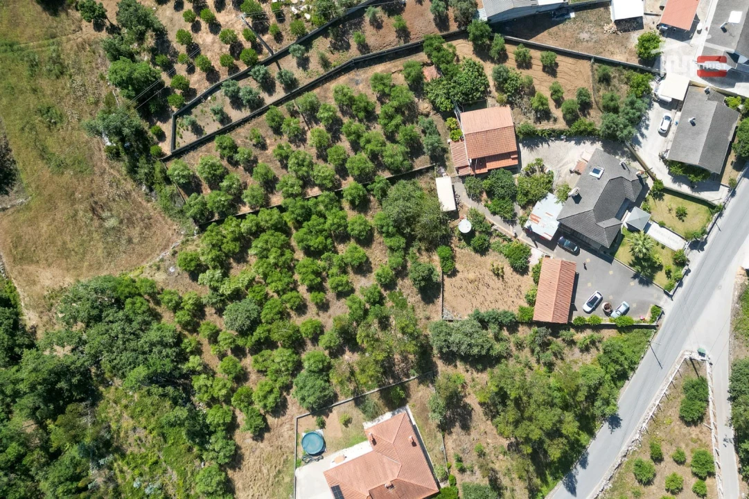 Moradia T3 para Venda em São Mamede Foto 9