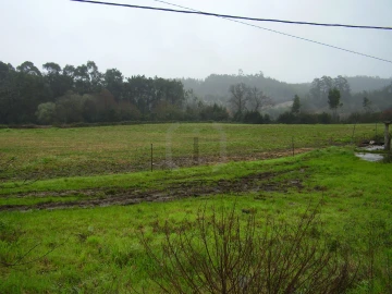 Terreno para Venda em Santa Joana