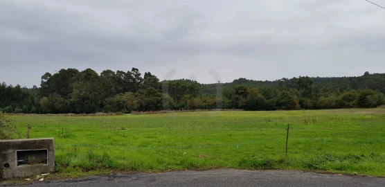 Terreno para Venda em Santa Joana