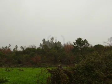 Terreno para Venda em Santa Joana