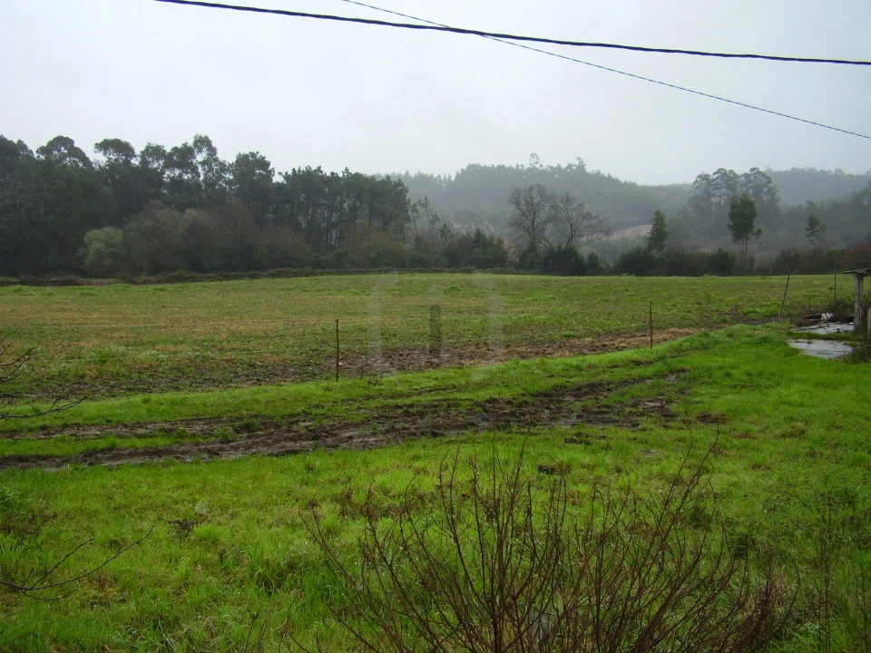 Terreno para Venda em Santa Joana Foto 5