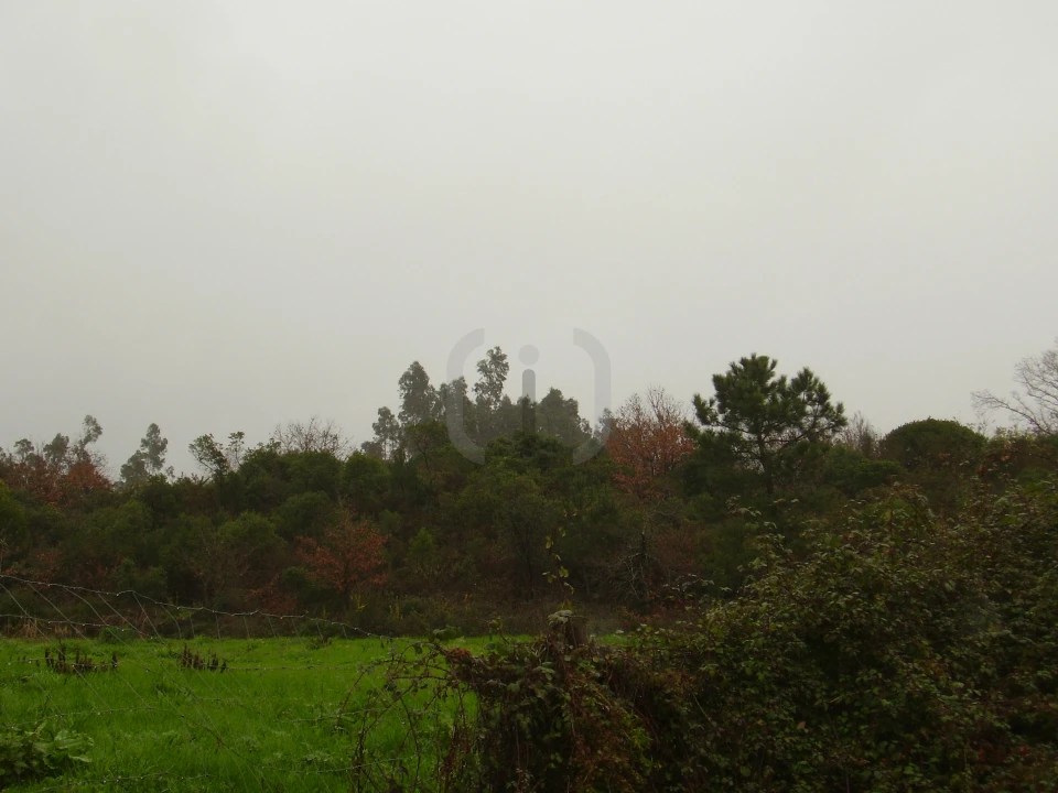 Terreno para Venda em Santa Joana Foto 3