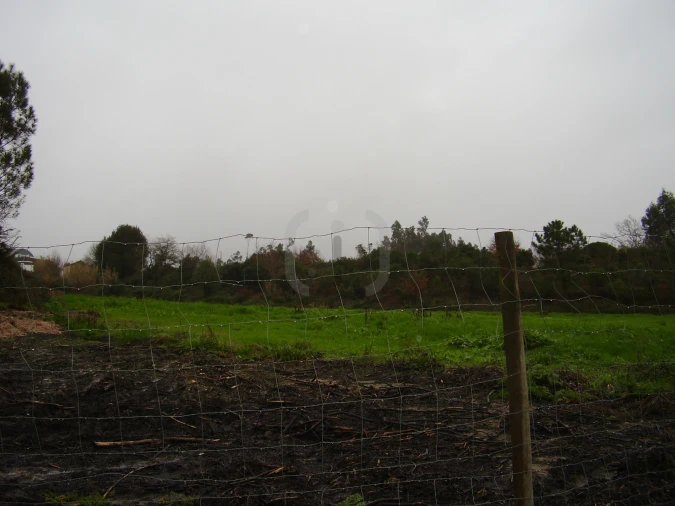 Terreno para Venda em Santa Joana Foto 4