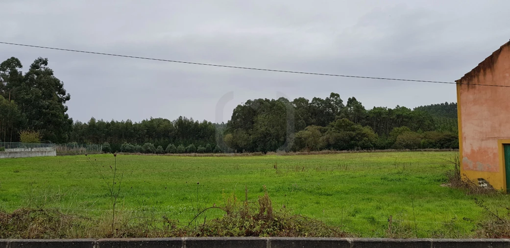 Terreno para Venda em Santa Joana Foto 2