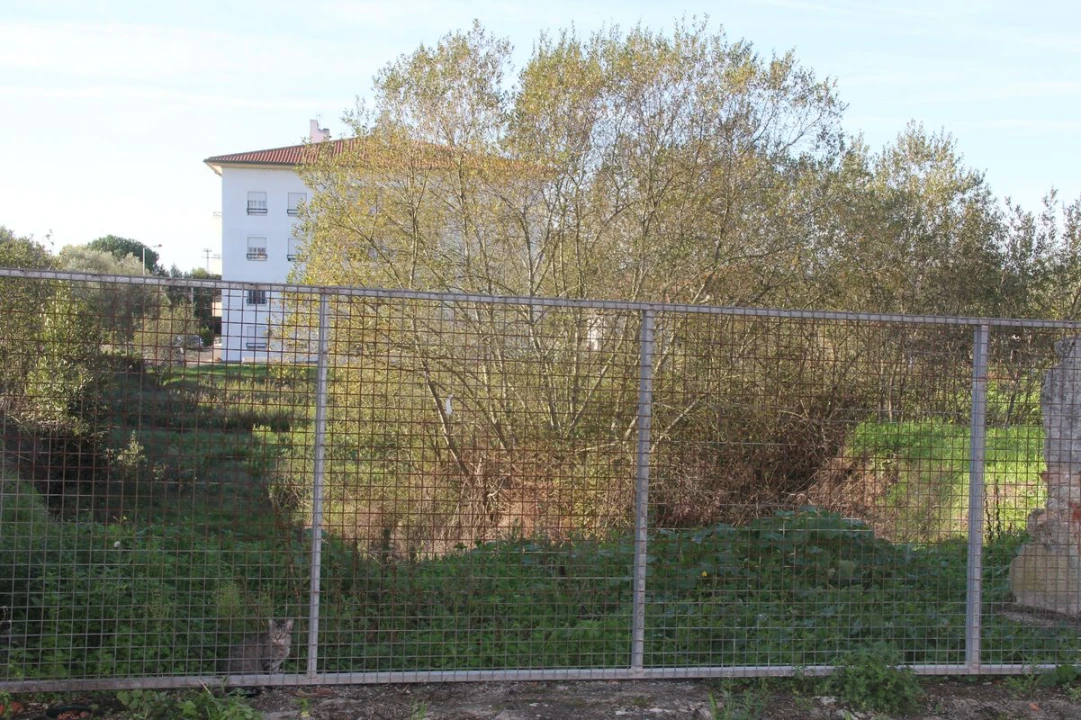 Armazém para Venda em Granja do Ulmeiro Foto 5