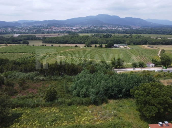 Terreno para Venda em Ganfei Foto 3