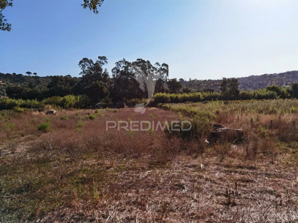 Terreno para Venda em Malhou, Louriceira e Espinheiro Foto 12