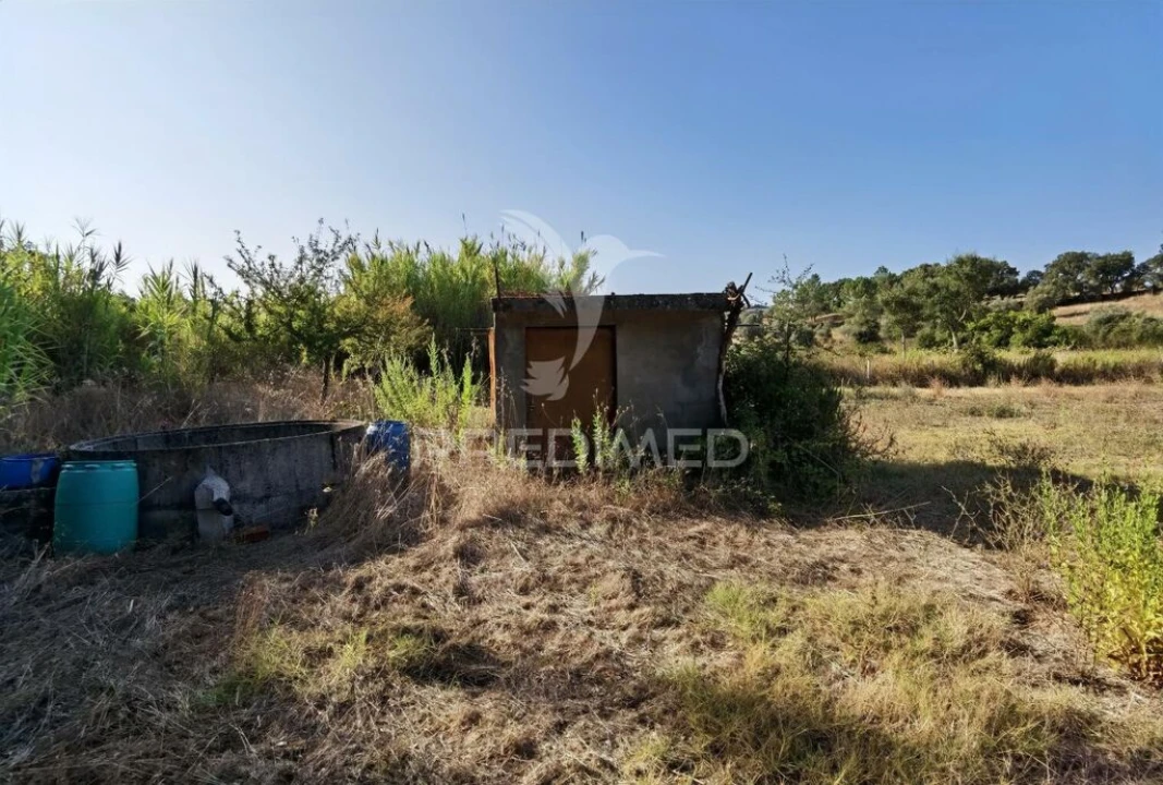 Terreno para Venda em Malhou, Louriceira e Espinheiro Foto 7