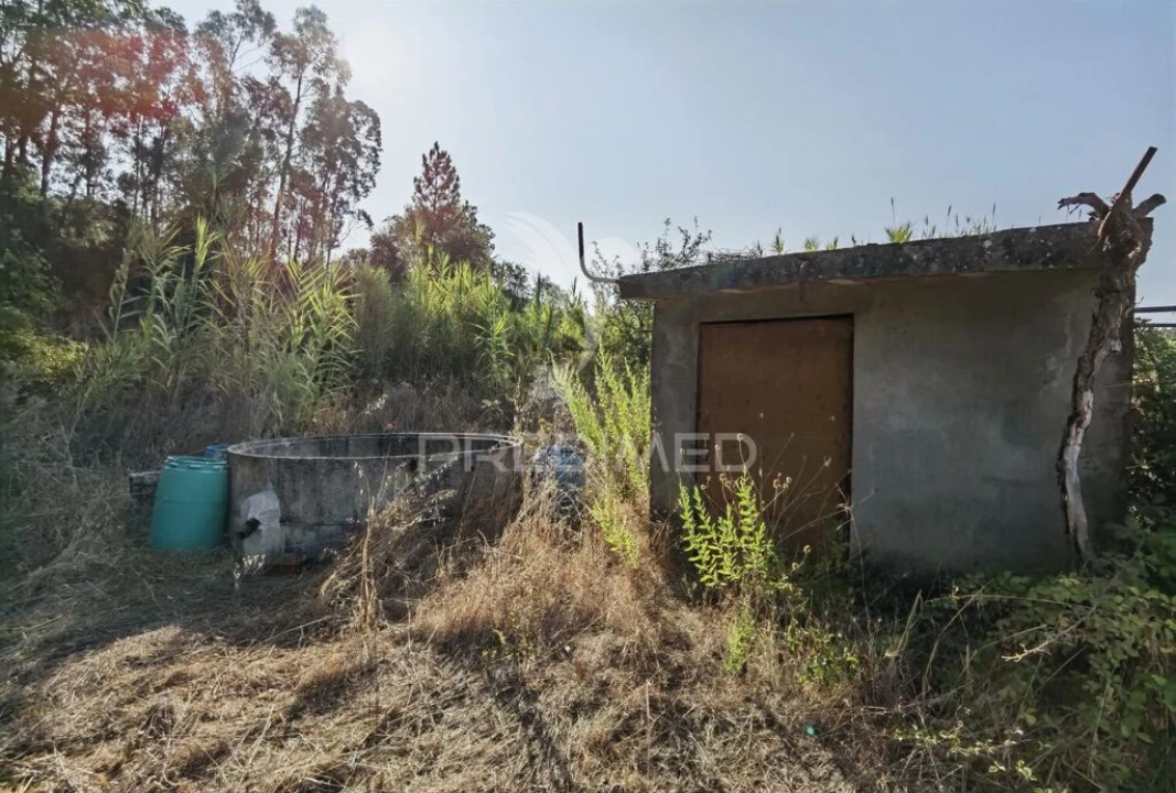 Terreno para Venda em Malhou, Louriceira e Espinheiro Foto 8