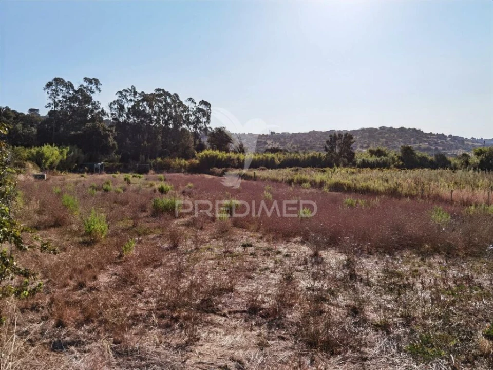 Terreno para Venda em Malhou, Louriceira e Espinheiro Foto 17