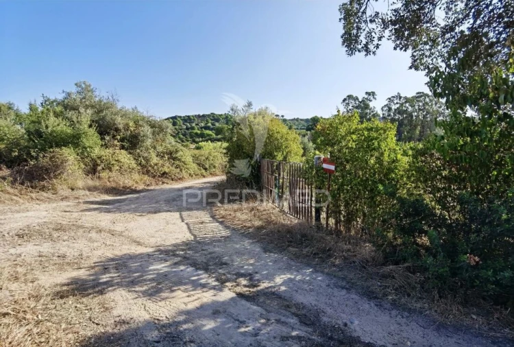 Terreno para Venda em Malhou, Louriceira e Espinheiro Foto 3