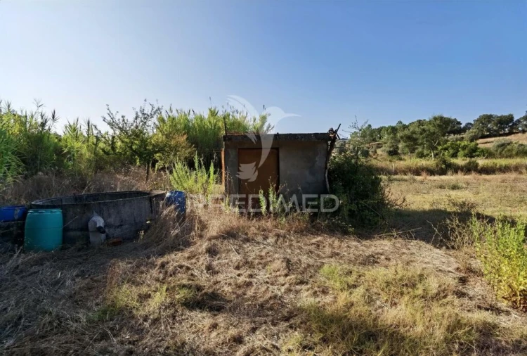 Terreno para Venda em Malhou, Louriceira e Espinheiro Foto 7
