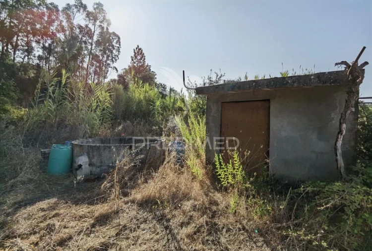 Terreno para Venda em Malhou, Louriceira e Espinheiro Foto 8
