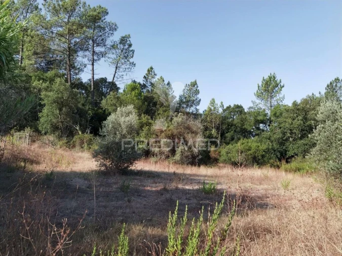 Terreno para Venda em Malhou, Louriceira e Espinheiro Foto 10