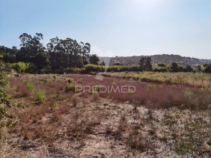 Terreno para Venda em Malhou, Louriceira e Espinheiro Foto 17