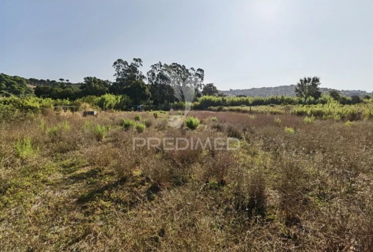 Terreno para Venda em Malhou, Louriceira e Espinheiro Foto 19