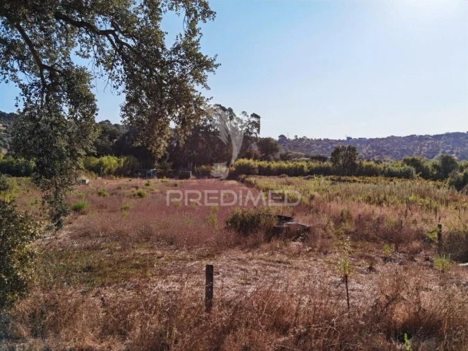 Terreno para Venda em Malhou, Louriceira e Espinheiro Foto 16