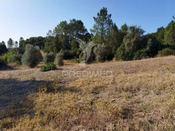 Terreno para Venda em Malhou, Louriceira e Espinheiro Foto 14