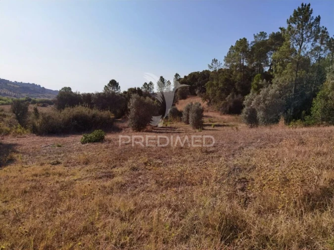 Terreno para Venda em Malhou, Louriceira e Espinheiro Foto 15