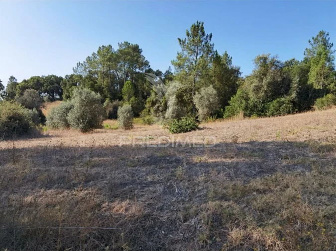 Terreno para Venda em Malhou, Louriceira e Espinheiro Foto 13
