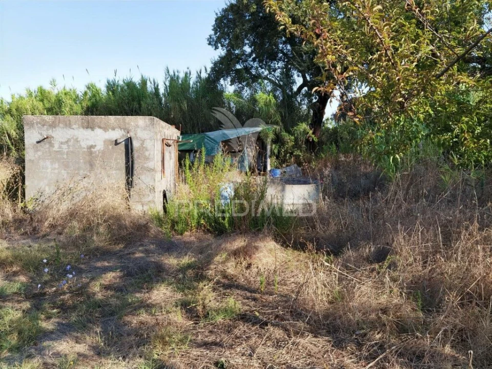 Terreno para Venda em Malhou, Louriceira e Espinheiro Foto 6