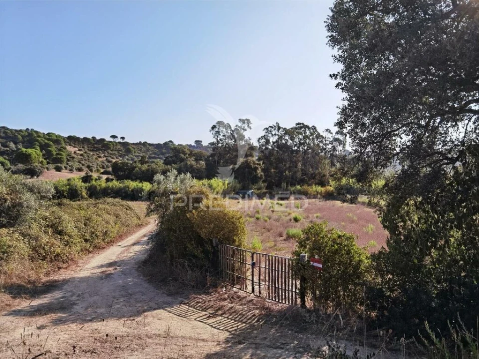 Terreno para Venda em Malhou, Louriceira e Espinheiro Foto 2