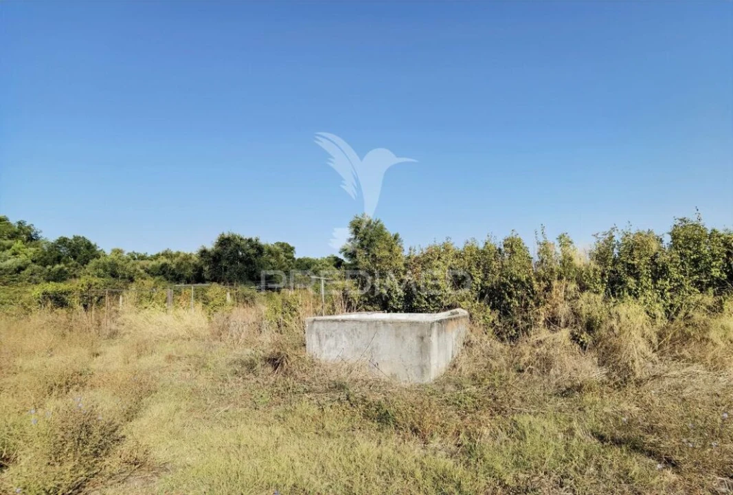 Terreno para Venda em Malhou, Louriceira e Espinheiro Foto 4