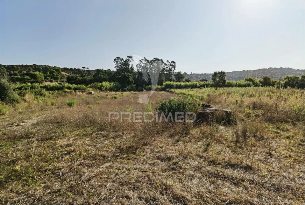 Terreno para Venda em Malhou, Louriceira e Espinheiro Foto 18