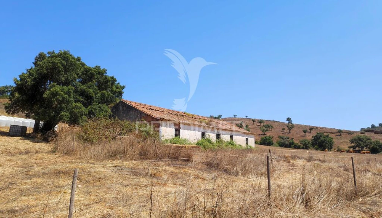 Quinta T6 para Venda em São Salvador e Santa Maria Foto 1