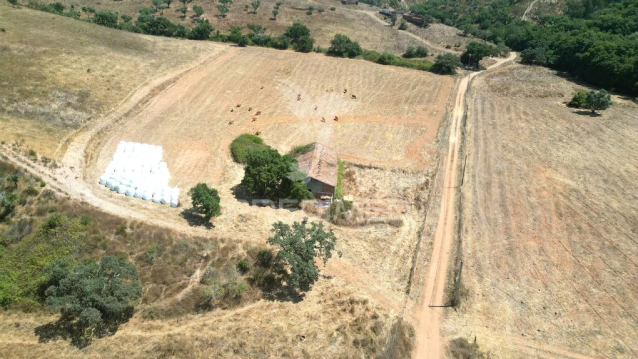 Quinta T6 para Venda em São Salvador e Santa Maria Foto 10
