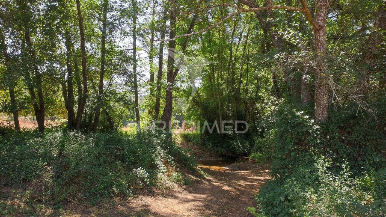 Quinta T6 para Venda em São Salvador e Santa Maria Foto 16