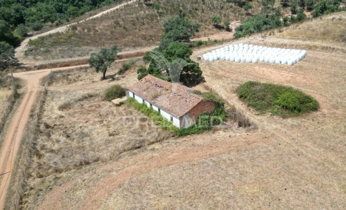 Quinta T6 para Venda em São Salvador e Santa Maria Foto 4