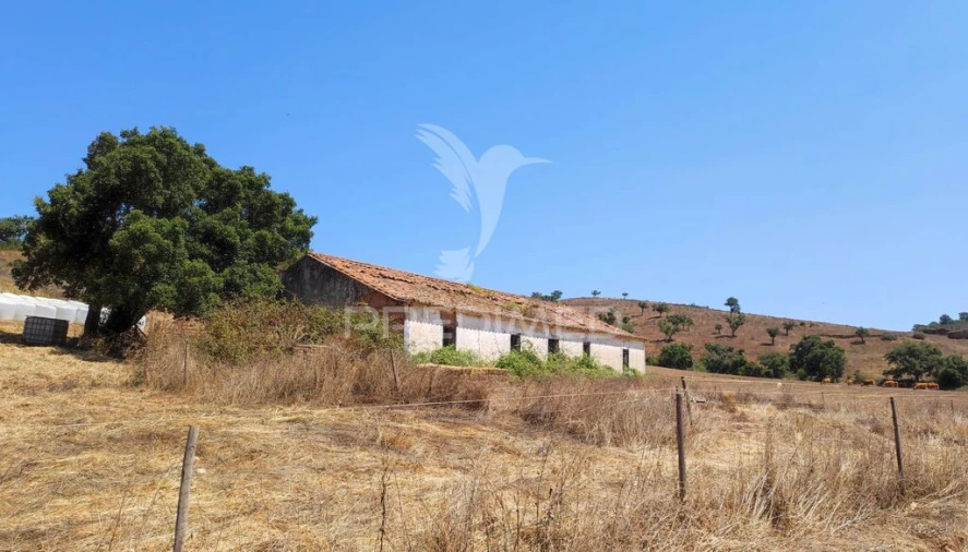 Quinta T6 para Venda em São Salvador e Santa Maria Foto 1