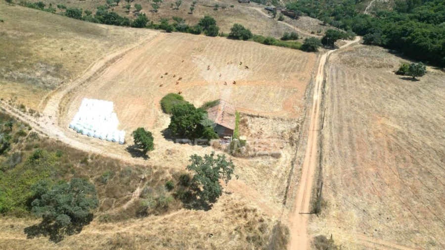 Quinta T6 para Venda em São Salvador e Santa Maria Foto 10