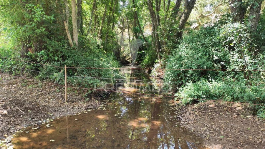 Quinta T6 para Venda em São Salvador e Santa Maria Foto 17