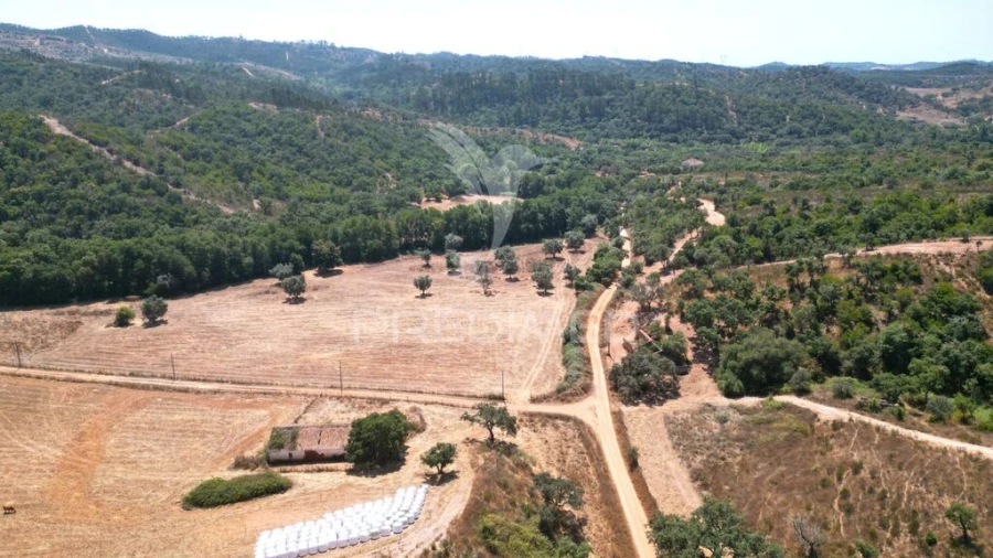 Quinta T6 para Venda em São Salvador e Santa Maria Foto 11