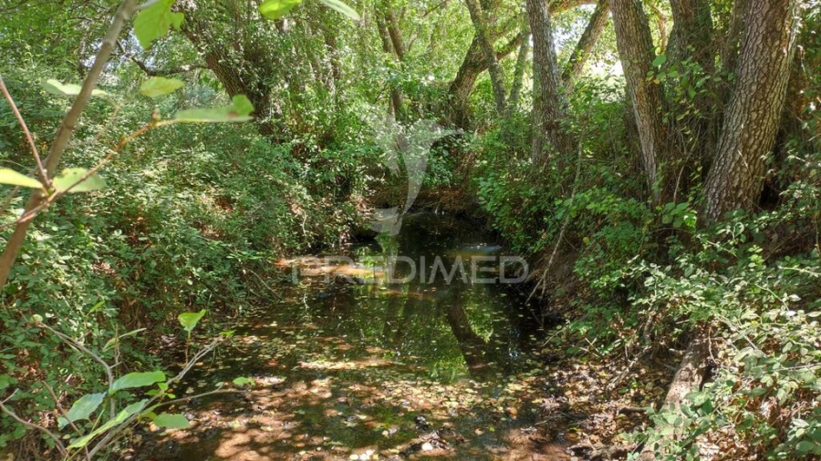 Quinta T6 para Venda em São Salvador e Santa Maria Foto 18