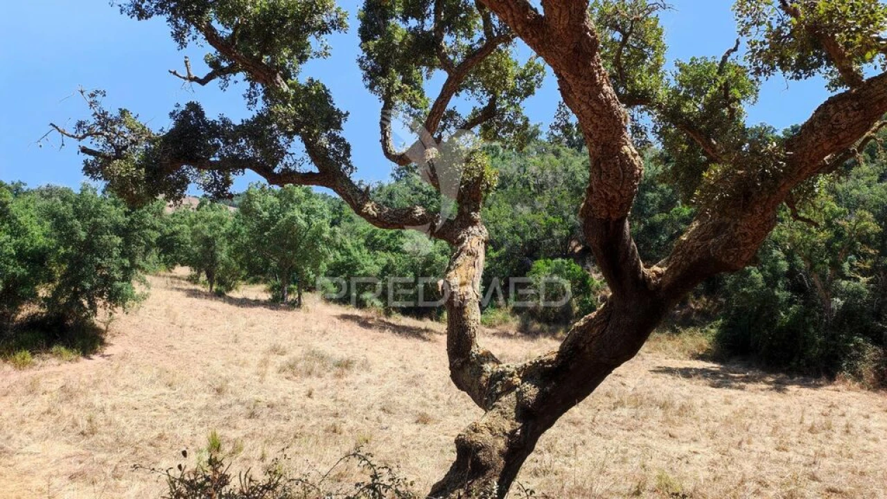 Quinta T6 para Venda em São Salvador e Santa Maria Foto 20