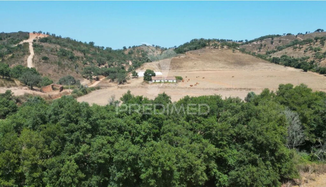 Quinta T6 para Venda em São Salvador e Santa Maria Foto 9