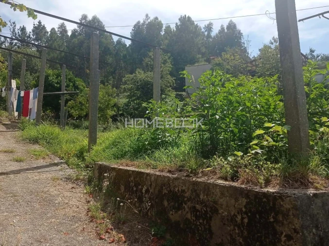 Moradia T2 para Venda em Pinheiro da Bemposta, Travanca e Palmaz Foto 4