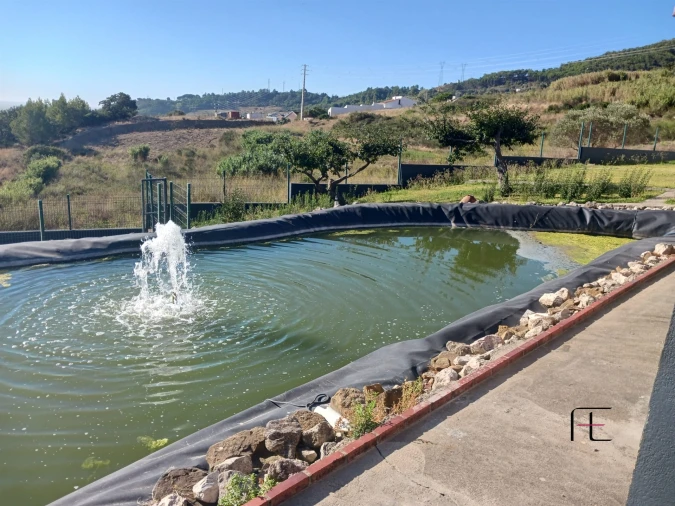 Quinta T0 para Venda em Alhandra, São João dos Montes e Calhandriz Foto 89