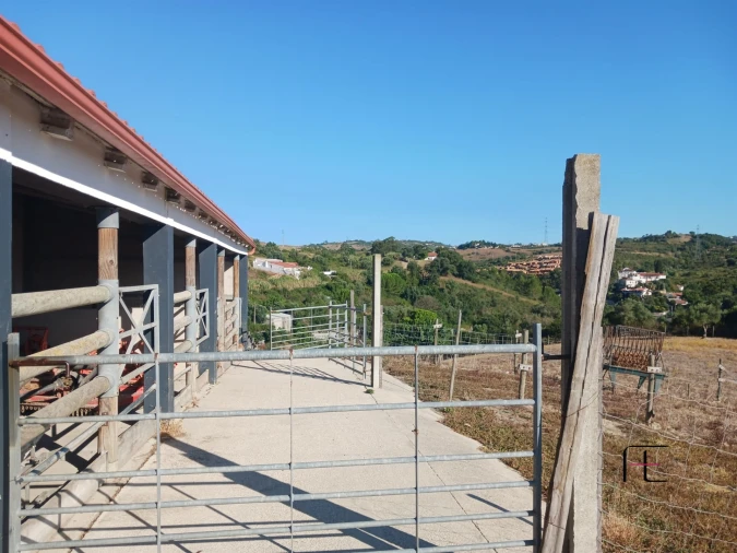Quinta T0 para Venda em Alhandra, São João dos Montes e Calhandriz Foto 113