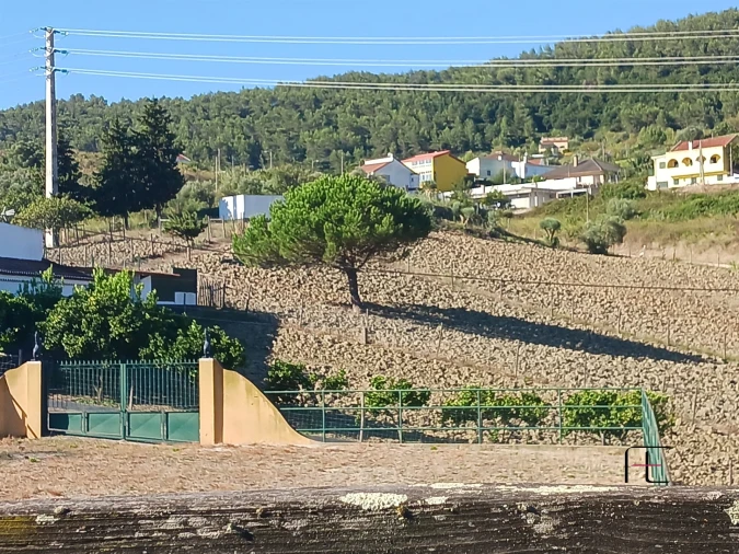 Quinta T0 para Venda em Alhandra, São João dos Montes e Calhandriz Foto 128